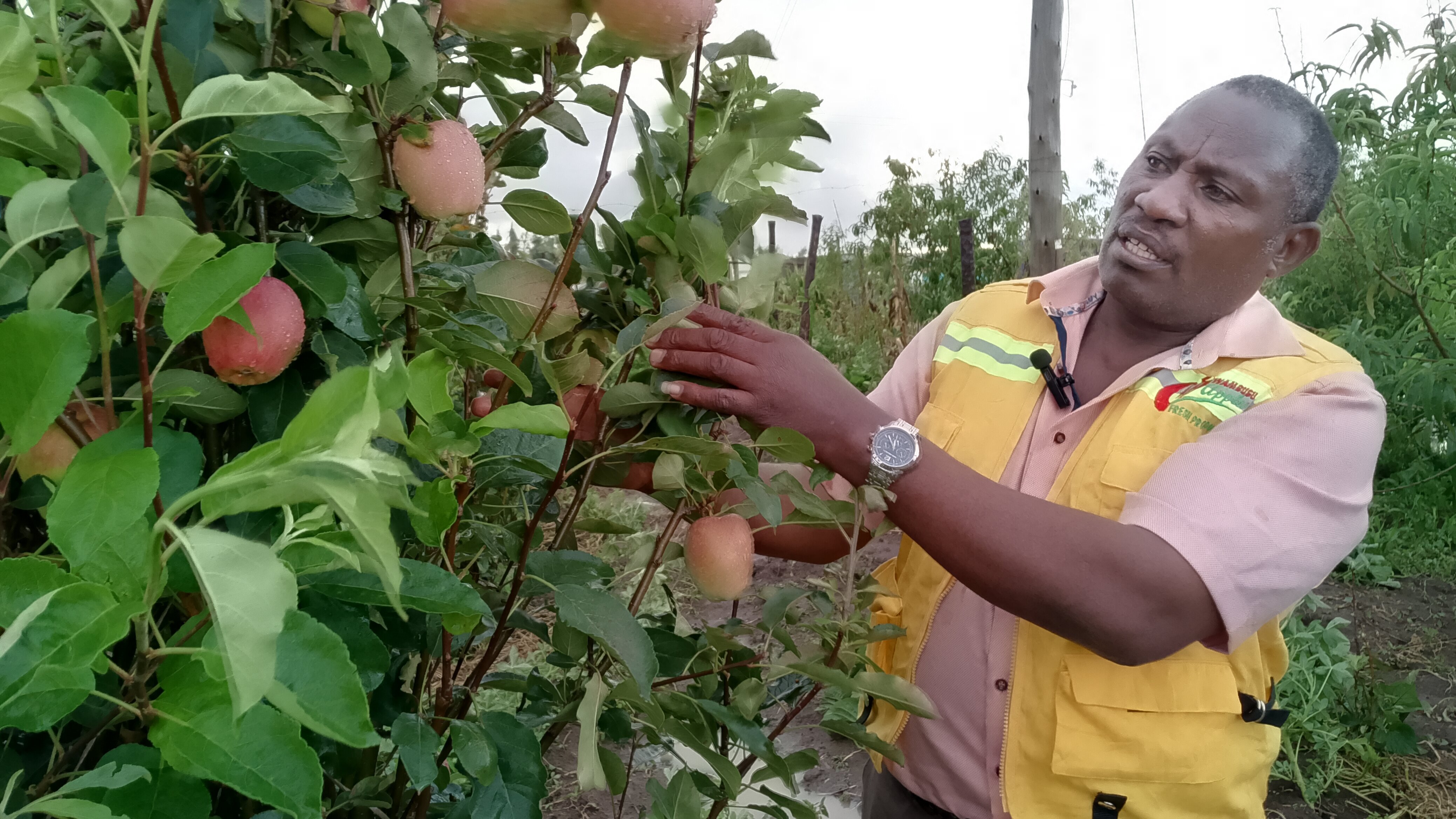 peter wambugu