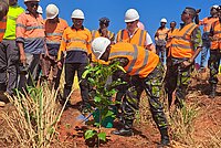 Kenya Navy planting trees