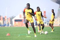 Uganda Cranes