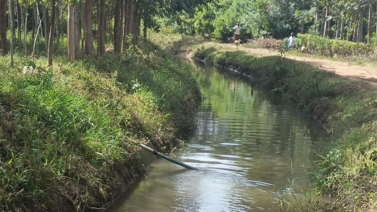 yatta canal