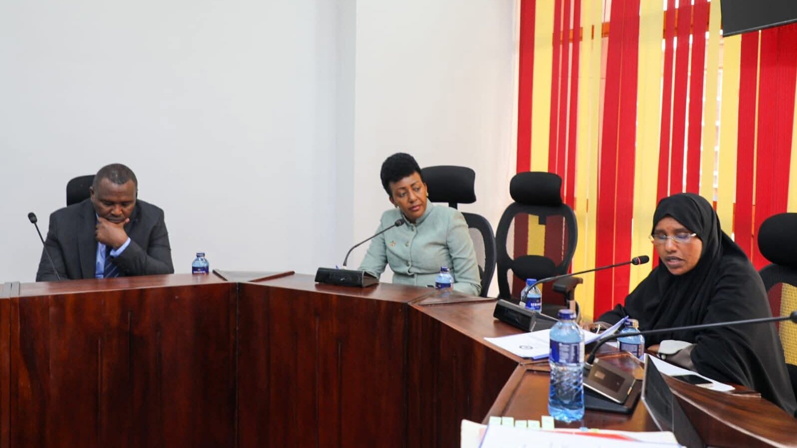 Senate Health Committee Chairperson Mariam Omar