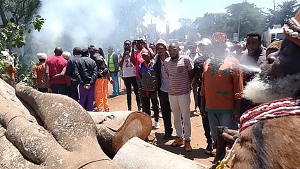 A group of Kikuyu traditional elders perform cleansing rituals following the fall of a revered mugumo (fig) tree