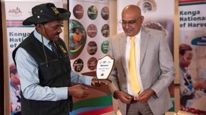 Tatu Coffee Estates Limited