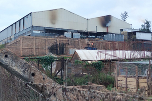 Persea Oils and Orchard avocado processing company