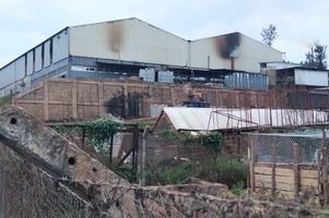 Persea Oils and Orchard avocado processing company