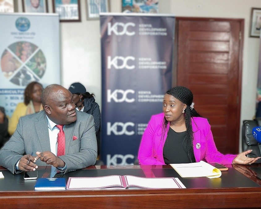 Kenyans benefit as MSMEs tap affordable financing