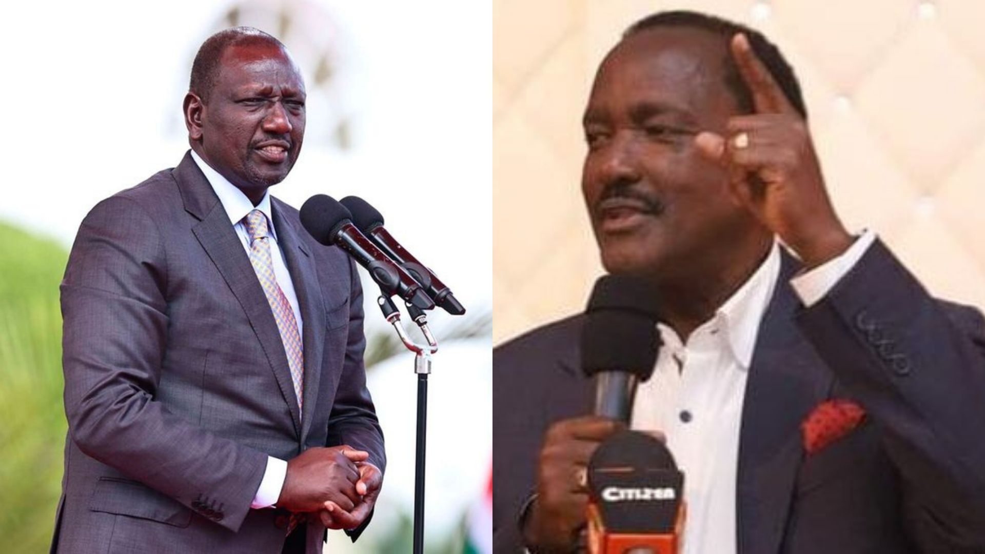 Ruto vs Kalonzo
